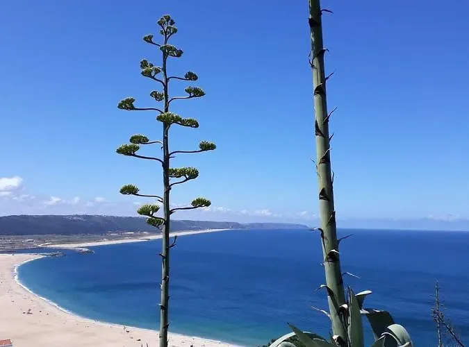 Refugio Mar